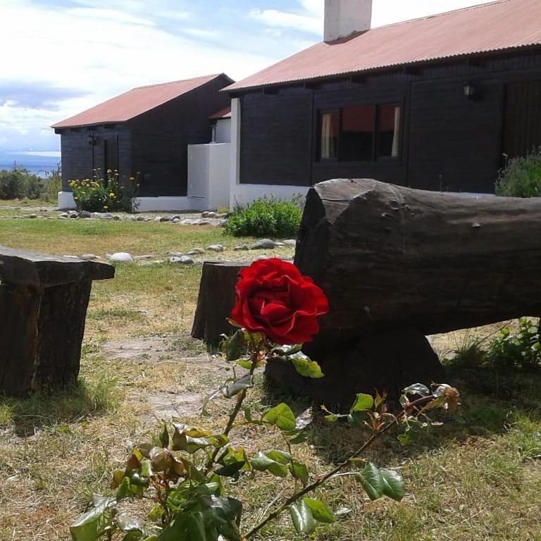 Estancia La Serena بيريتو مورينو المظهر الخارجي الصورة