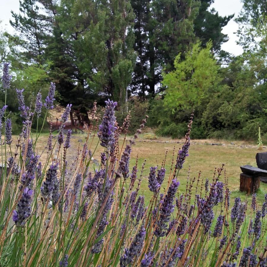 Estancia La Serena بيريتو مورينو المظهر الخارجي الصورة