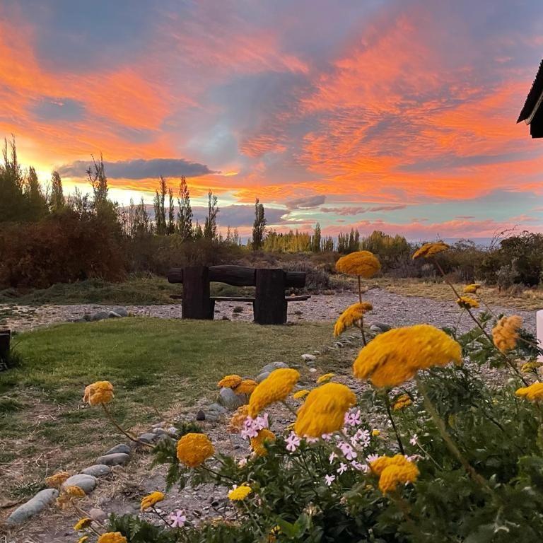 Estancia La Serena بيريتو مورينو المظهر الخارجي الصورة