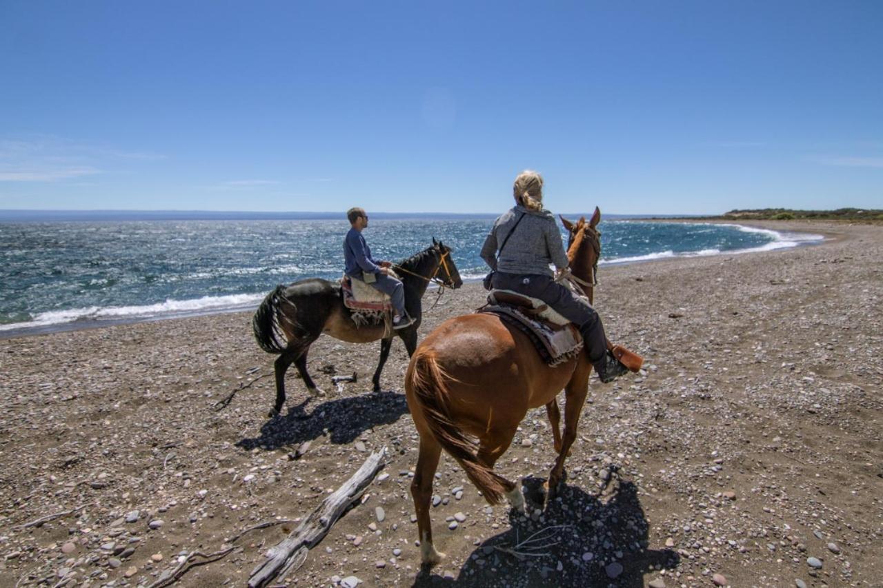 Estancia La Serena بيريتو مورينو المظهر الخارجي الصورة